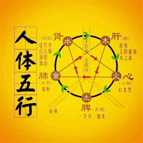 木火土金水|五行生克（哲学理论）